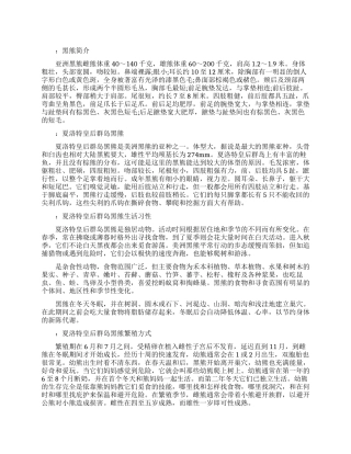 史上最大的黑熊
