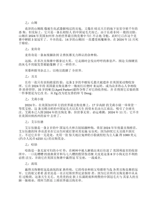 史上最难看的狗