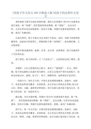 吃粽子的过程作文范文