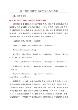 合方鲫肌间骨骨化过程及形态学观察