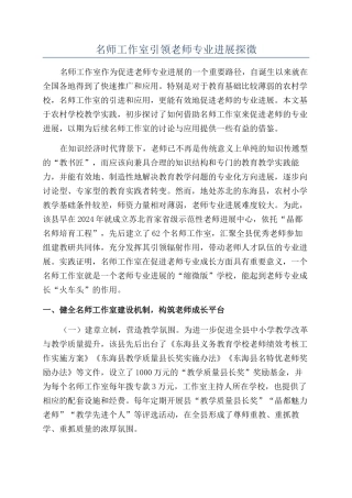名师工作室引领教师专业发展探微