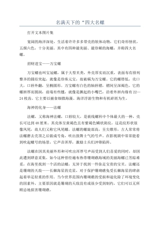 名满天下的“四大名螺