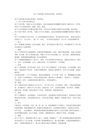 君子兰的养殖方法和注意事项养护要点