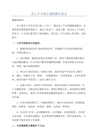 员工个人转正述职报告范文
