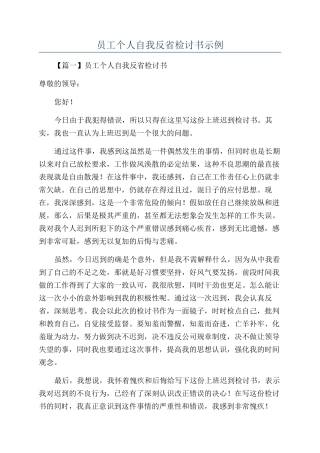 员工个人自我反省检讨书示例