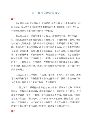 员工晋升自我评价范文