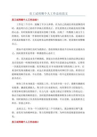 员工试用期个人工作总结范文