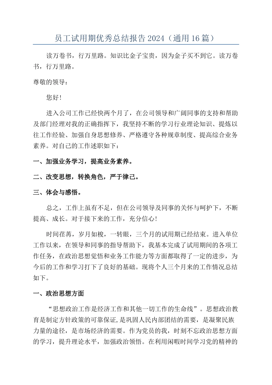 员工试用期优秀总结报告2024_第1页