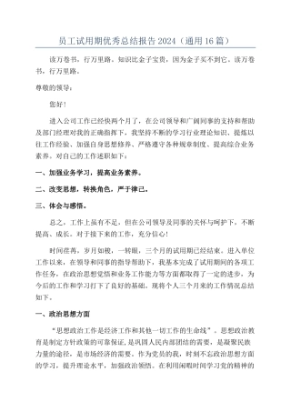 员工试用期优秀总结报告2024