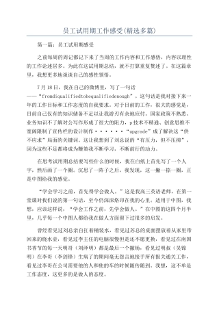 员工试用期工作感受