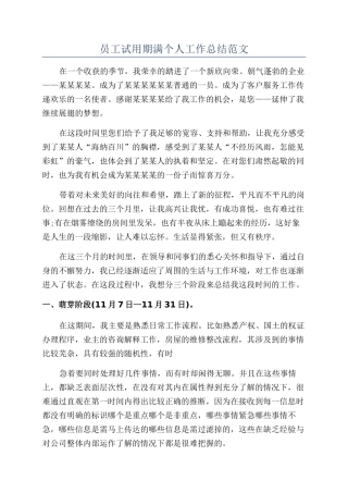 员工试用期满个人工作总结范文