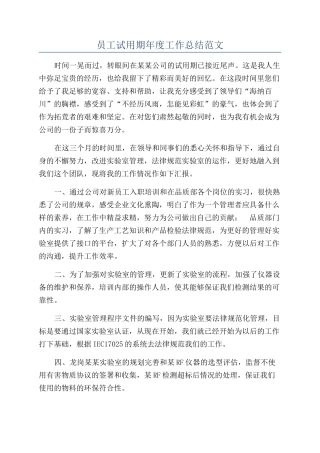员工试用期年度工作总结范文