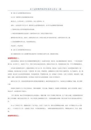 员工试用期考核评价表范文范文二篇