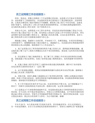 员工试用期工作总结报告五篇2024