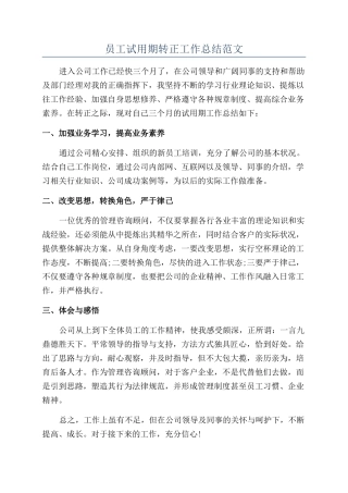 员工试用期转正工作总结范文