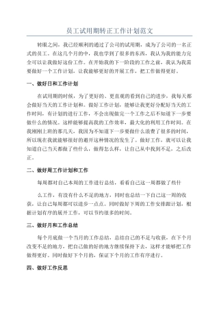 员工试用期转正工作计划范文