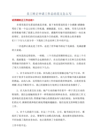 员工转正申请工作总结范文怎么写