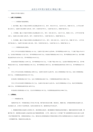 品宣公司年度计划范文