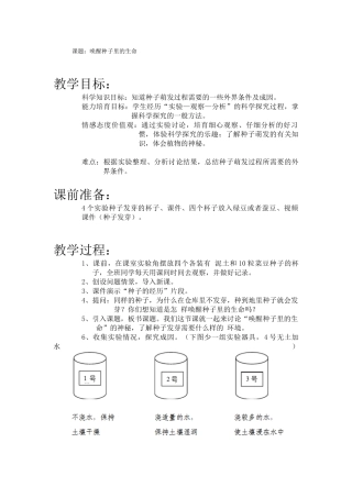 唤醒种子里的生命