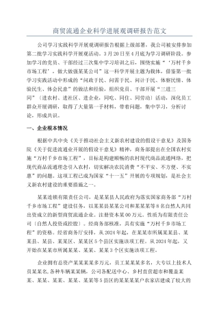 商贸流通企业科学发展观调研报告范文