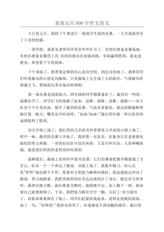 喜迎元旦800字作文范文