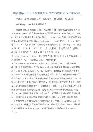 噬菌体phiC31位点重组酶系统在植物转基因中的应用