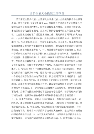 团员代表大会提案工作报告