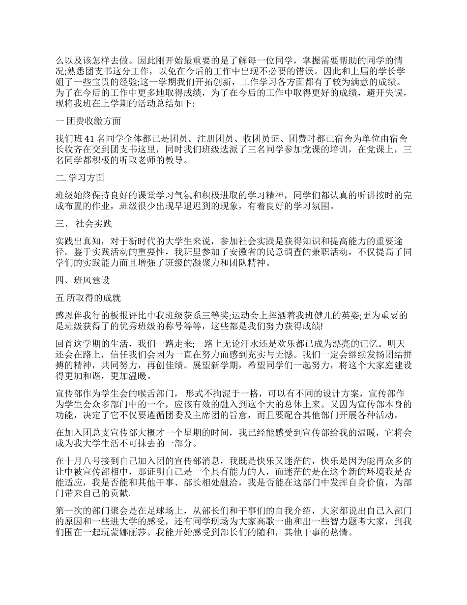 团支书年度工作总结报告_第3页