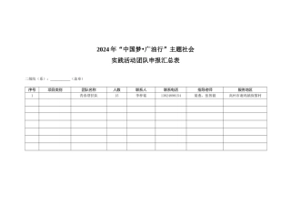 团队申报汇总表