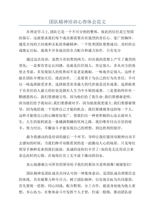 团队精神培训心得体会范文