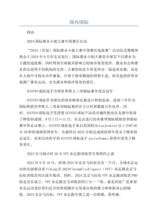 国内国际-精品文档