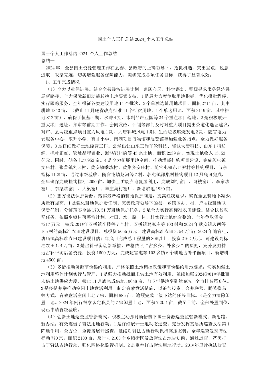 国土个人工作总结2024-个人工作总结_第1页