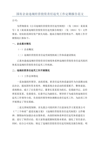 国有企业违规经营投资责任追究工作定期报告范文