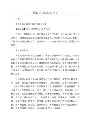 国税局总结报告范文
