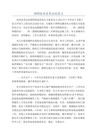国网技术业务总结范文