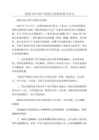 图说2024用户体验行业调查报告范文