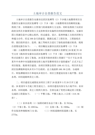 土地审计自查报告范文