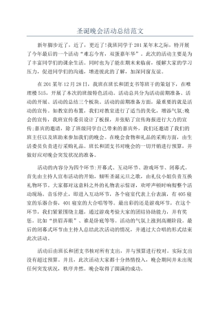 圣诞晚会活动总结范文