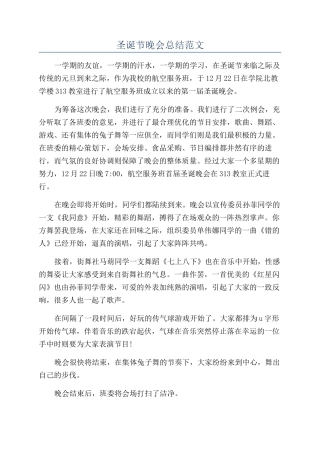 圣诞节晚会总结范文