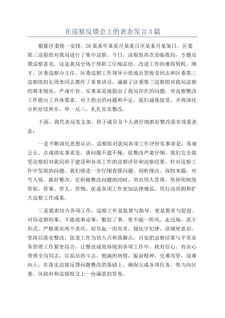 在巡察反馈会上的表态发言3篇