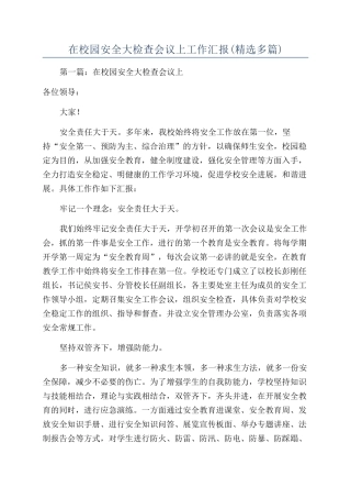 在校园安全大检查会议上工作汇报
