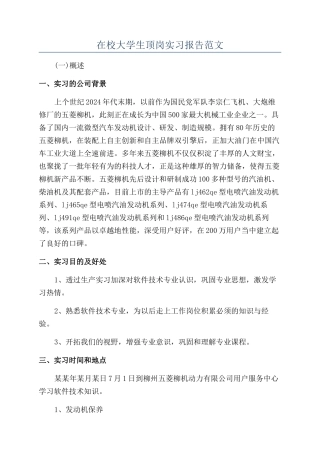 在校大学生顶岗实习报告范文