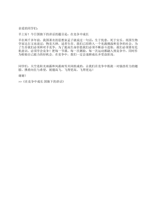 在竞争中成长国旗下的讲话