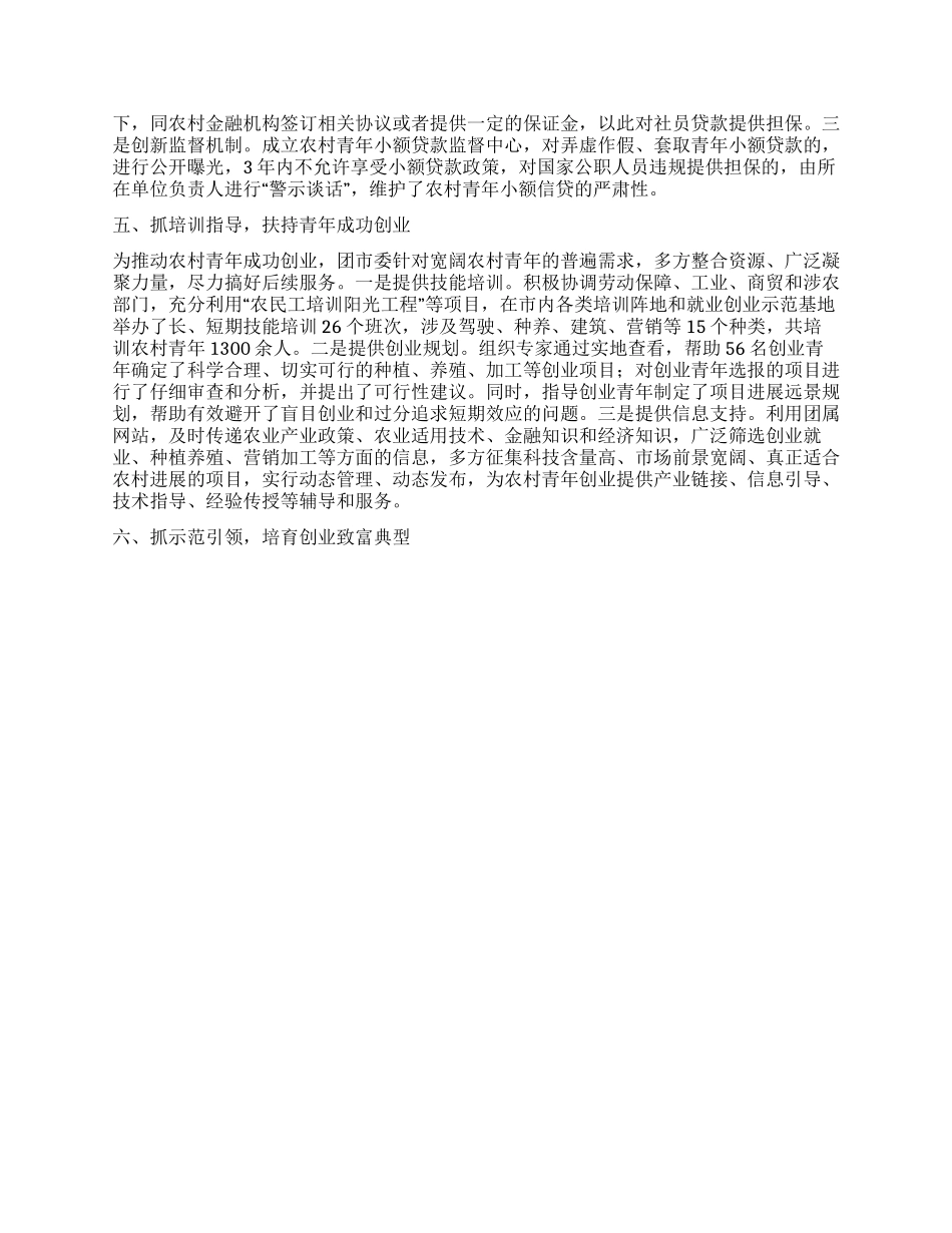 在青年小额贷款项目工作推进会上的发言_第2页