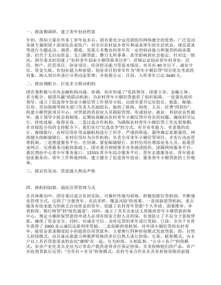 在青年小额贷款项目工作推进会上的发言