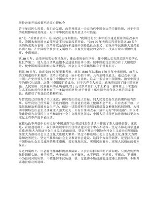 坚持改革开放政策不动摇心得体会
