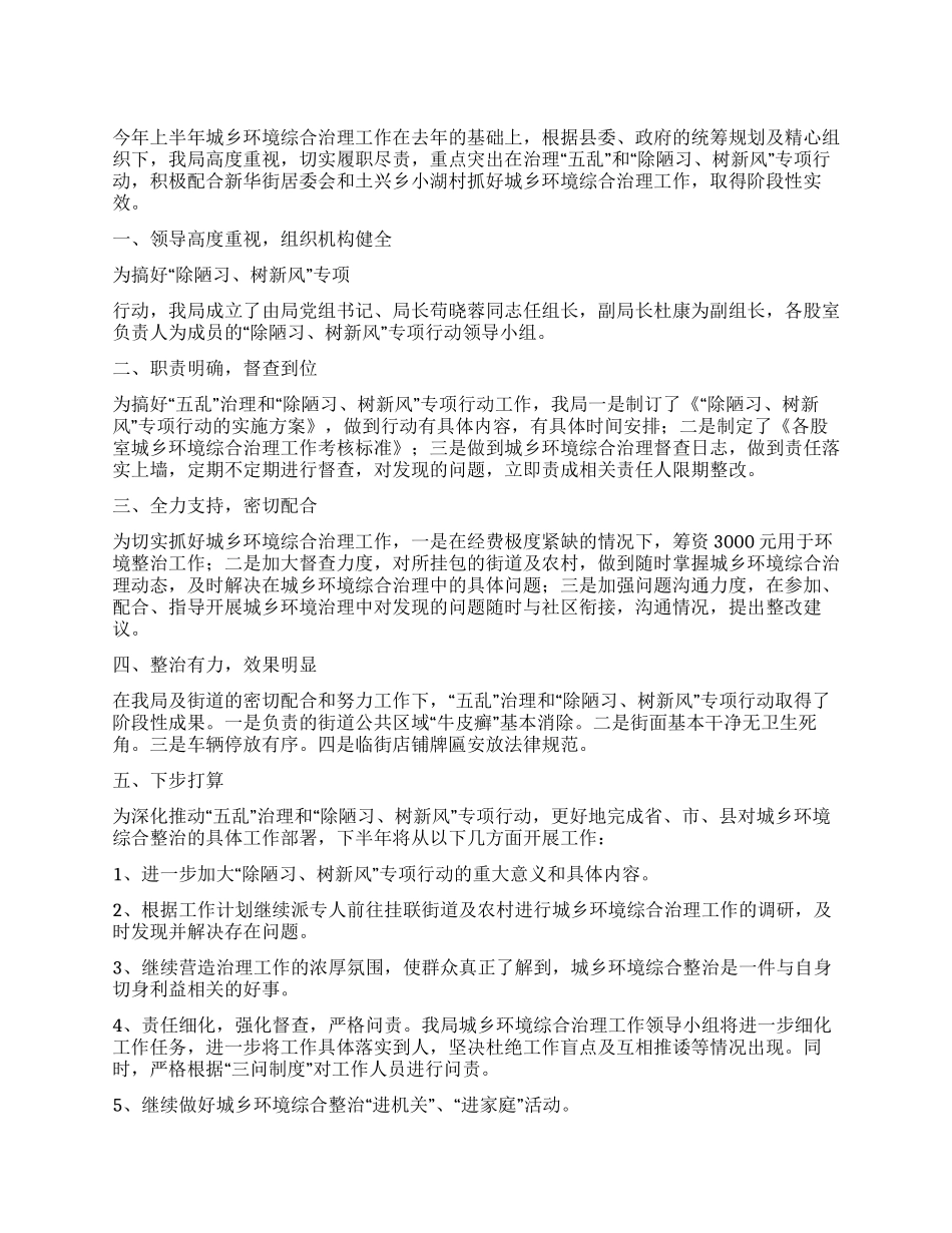 城乡环境综合治理工作2024年上半年工作总结_第1页