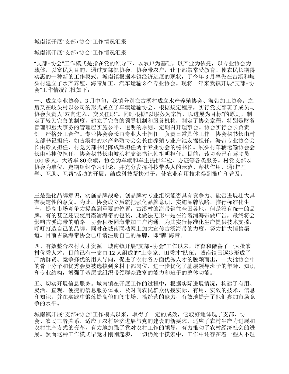 城南镇开展“支部协会工作情况汇报_第1页