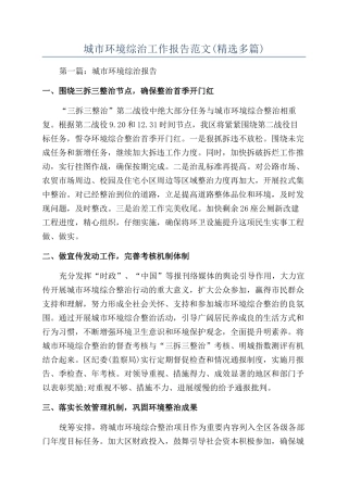 城市环境综治工作报告范文