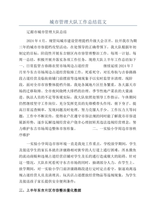 城市管理大队工作总结范文